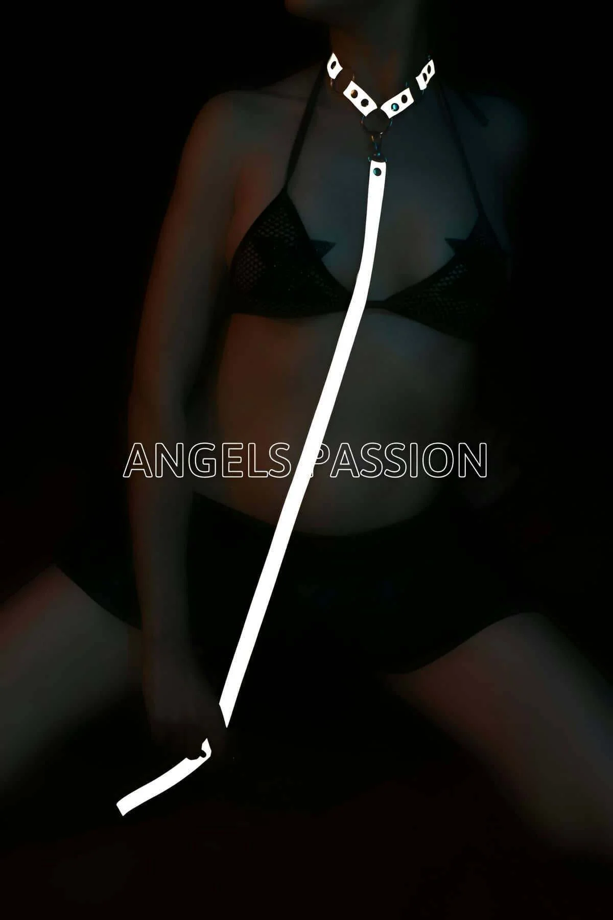 Reflective choker harness with detachable leash